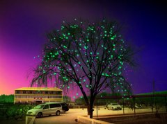 LED标识照明工程